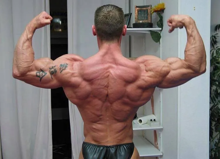 Beitragsbild zum Artikel: Wie geht richtiges Diäten? Bodybuilding-Profi Matthias Botthof klärt auf!