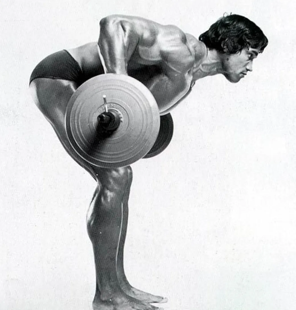 Beitragsbild zum Artikel: BACK ATTACK: Deshalb gehört Langhantelrudern in Deinen Trainingsplan!