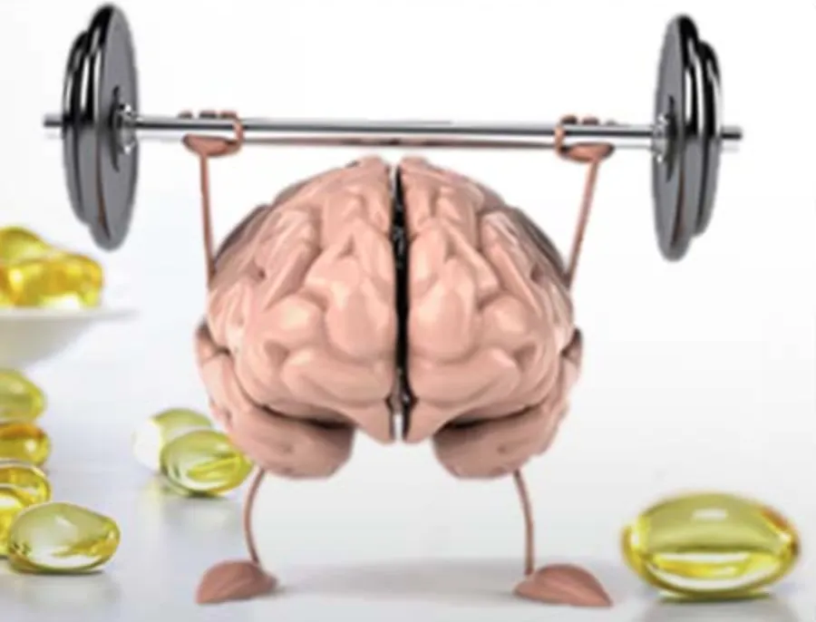 Beitragsbild zum Artikel: OMEGA 3 – das wichtigste Supplement?!