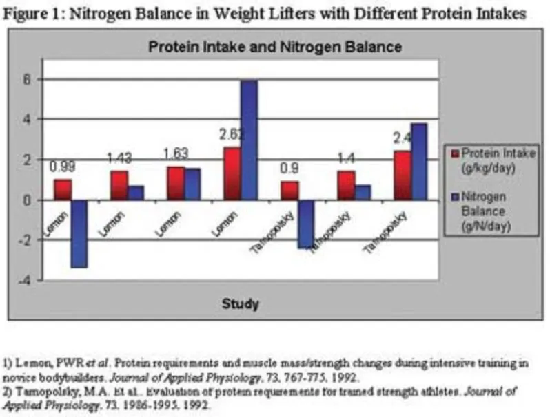 Abbildung zum Artikel: Die Protein-Bibel