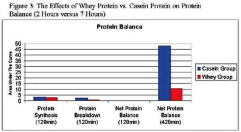 Abbildung 2 zum Artikel: Die Protein-Bibel