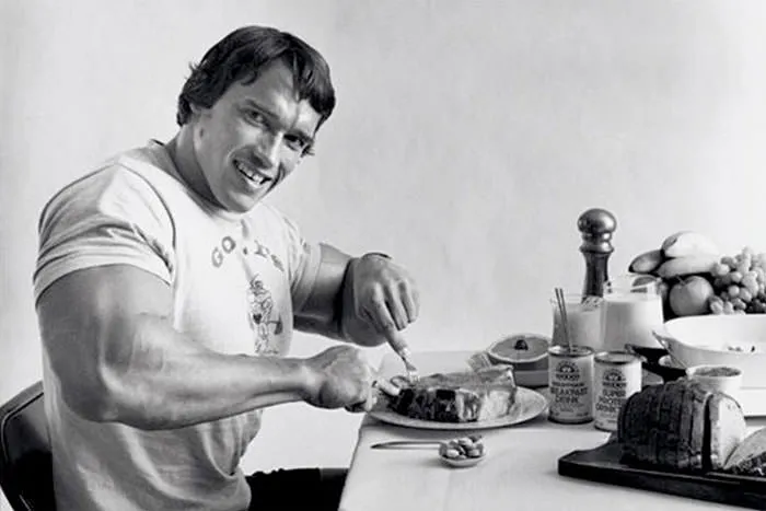 Beitragsbild zum Artikel: Die Protein-Bibel