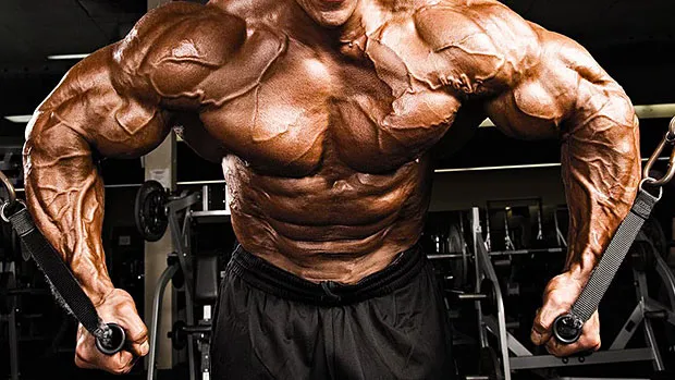 Beitragsbild zum Artikel: Trainiere die GLEICHE Muskelgruppe 2x pro Tag für maximale Gains!