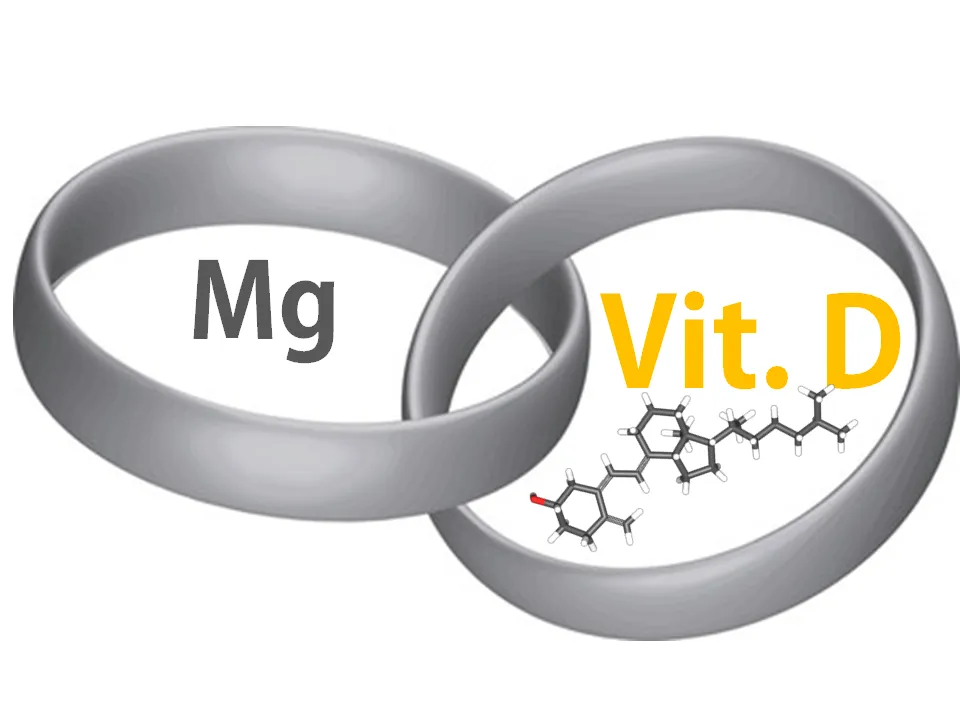 Beitragsbild zum Artikel: DESHALB ist Deine Supplementierung mit Vitamin D WIRKUNGSLOS!