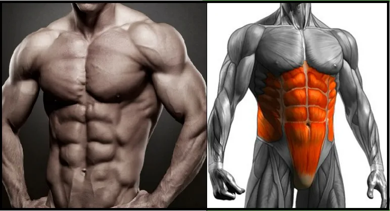 Beitragsbild zum Artikel: DAS musst Du TUN, um einen sichtbaren SIXPACK zu bekommen!