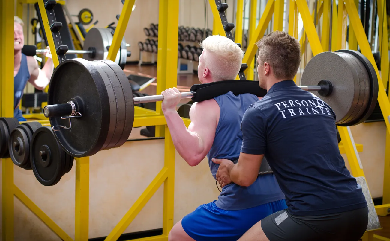 Beitragsbild zum Artikel: Trainingsstudien zu Übungsphysiologie und Trainingskapazität