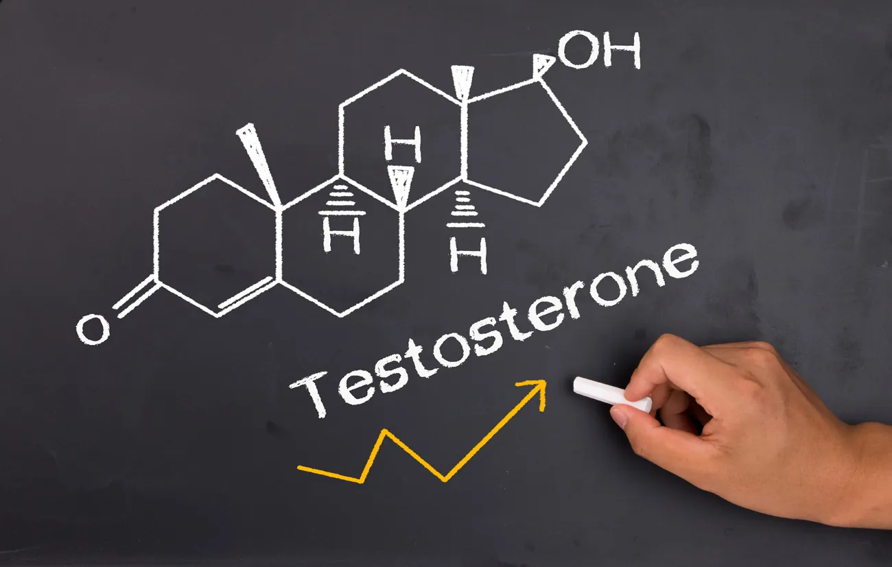 Beitragsbild zum Artikel: Bringt eine Testosteron-Behandlung älteren Männern etwas?