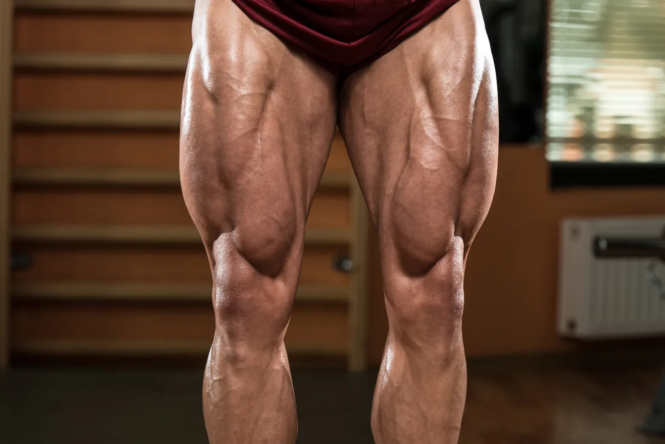 Beitragsbild zum Artikel: Beintraining für Monsterbeine