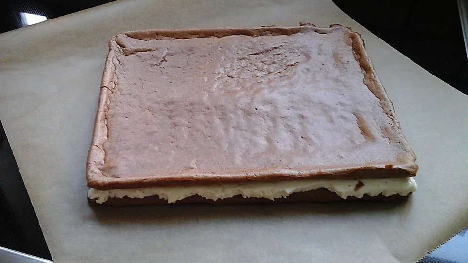 Abbildung 2 zum Artikel: Protein Milchschnitten, Low Fat Low Carb Diät Version