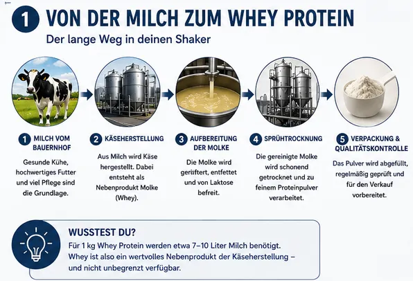 Abbildung zum Artikel: Warum Whey Protein plötzlich so teuer geworden ist – Die ganze Wahrheit hinter den steigenden Preisen